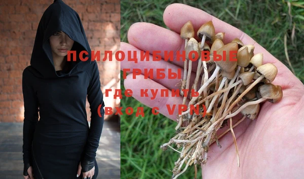 spice Бородино