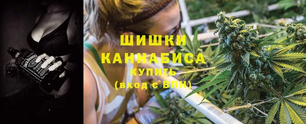 МДПВ Бронницы