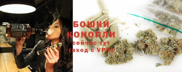 МДПВ Бронницы