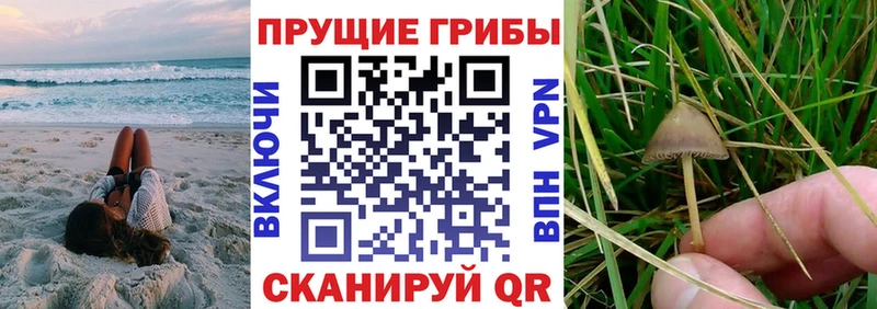 гидра как войти  Кубинка  Галлюциногенные грибы мухоморы 