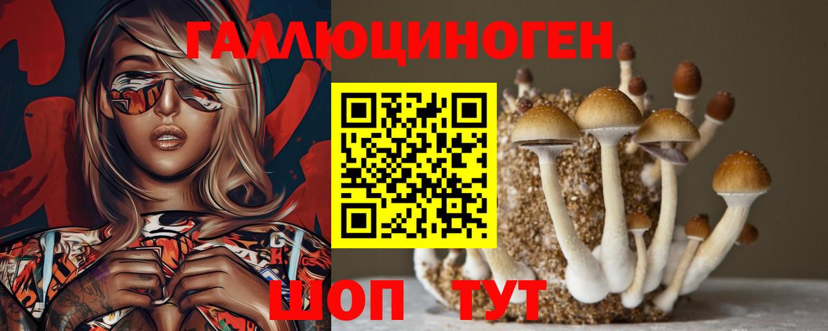 Кубинка  Псилоцибиновые грибы Cubensis  Вход с VPN  Галлюциногенные грибы Cubensis 